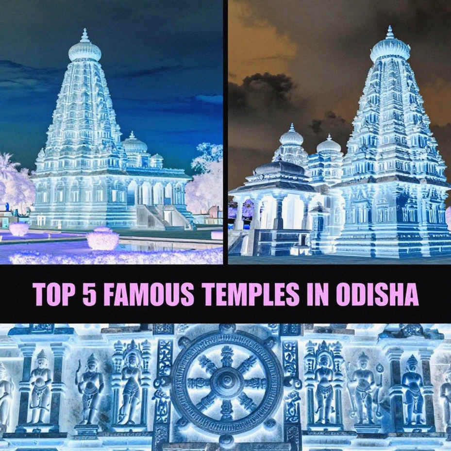 ক্যাম্পাসের কোর্টে নতুন খাতা: এলভিএম ২০২৬-এ নারী ভলিবলের আঠারো দল আর পঞ্চাশ মিলিয়ন রুপিয়ার হিসাব